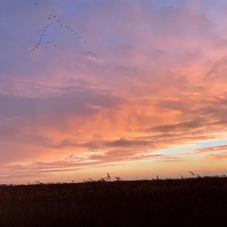 Deichkoje12 Deck 1 Eg Direkt Am Eiderdeich Nur 7 Km Bis Zur Nordsee Und 20 Min Bis Sankt Peter Ording