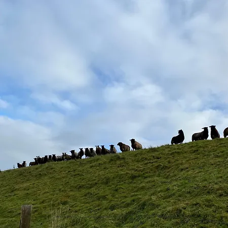 Apartament Deichkoje12 Deck 1 Eg Direkt Am Eiderdeich Nur 7 Km Bis Zur Nordsee Und 20 Min Bis Sankt Peter Ording